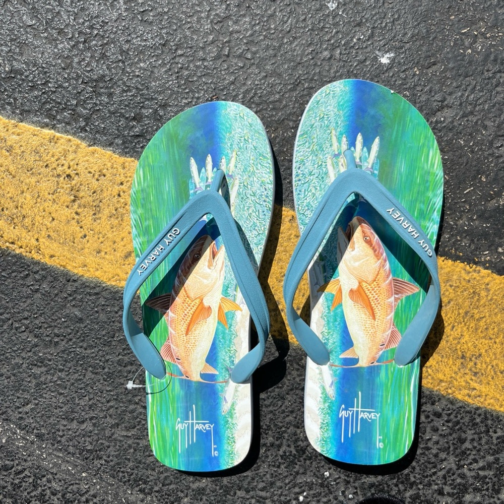 Guy Harvey Teal & Green Fish Print Flip Flops